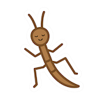 walking stick